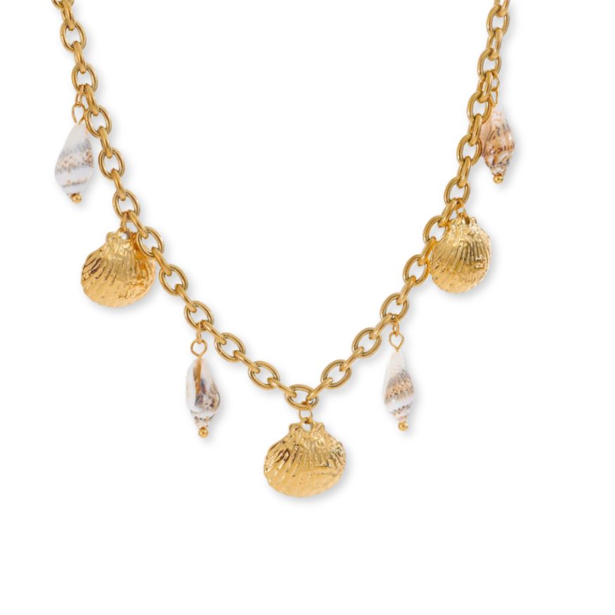 Collier Coquillage Or