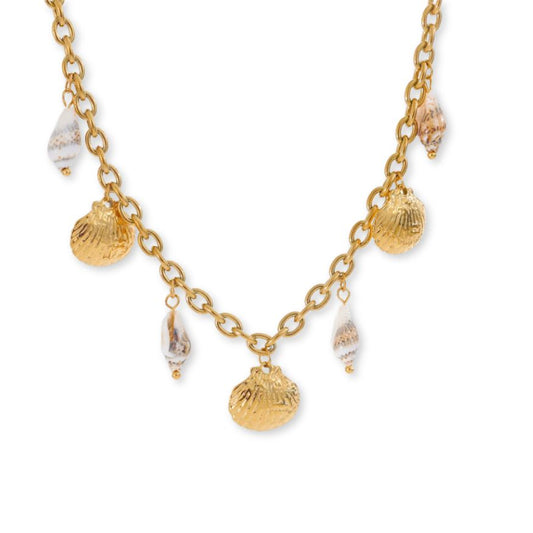 Collier Coquillage Or