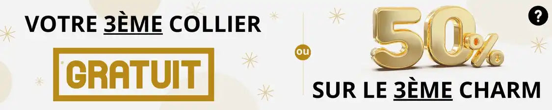 Bannière promotionnelle mobile